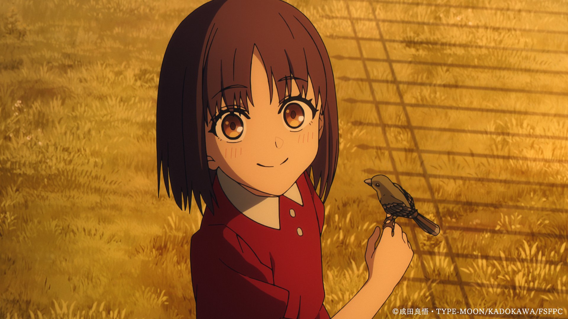 Fate/strange Fake Story Summary: What is Happening in Snowfield